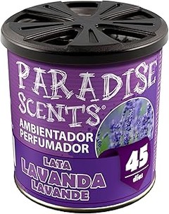 Guía para Elegir el Mejor Ambientador de Gel para Coche