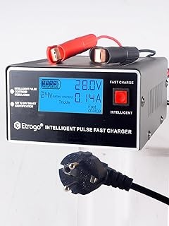 Descubre los Diferentes Tipos de Cargadores de 24V para Coche