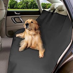 ¿Por qué deberías usar una funda para el maletero de tu perro?
