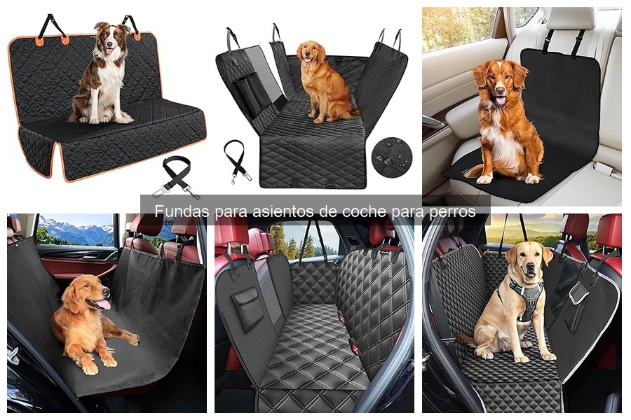 Alternativas a fundas para asientos de coche para perros