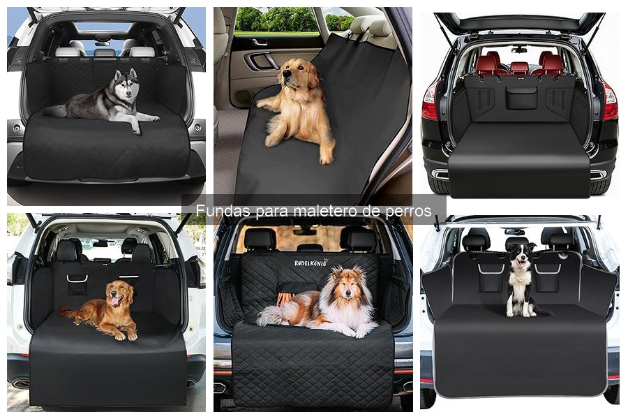 Alternativas a las Fundas para Maletero de Perros