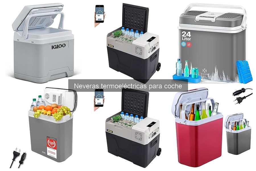 Alternativas a las neveras termoeléctricas para coche