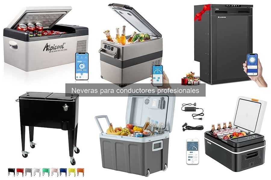 Alternativas a Neveras para Conductores Profesionales