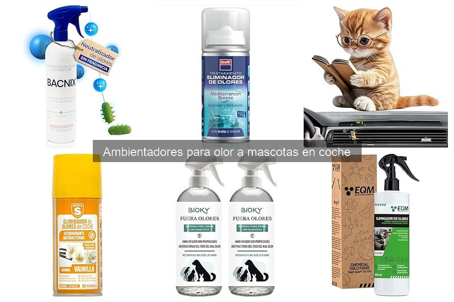Alternativas Efectivas a Ambientadores para Mascotas en Coche