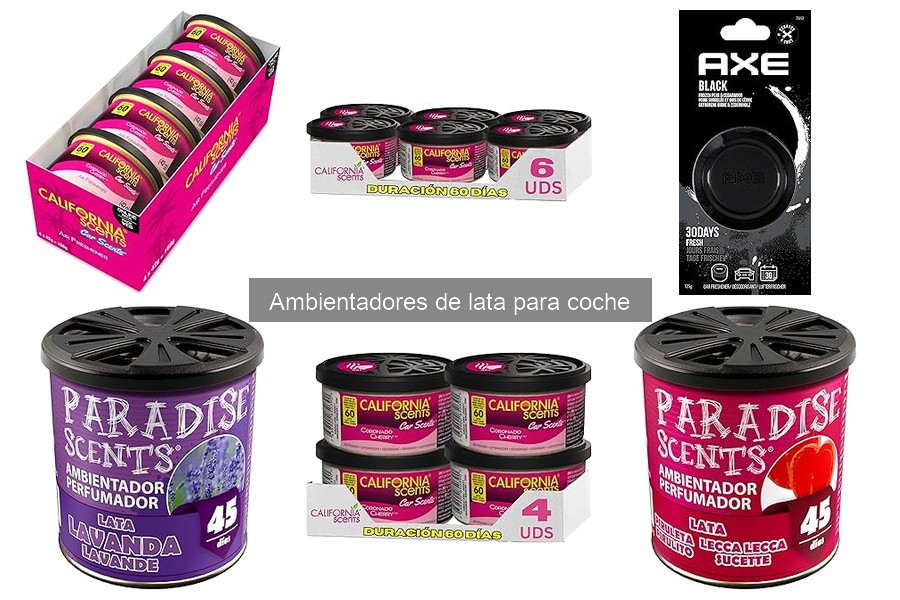 Alternativas Efectivas a los Ambientadores de Lata para Coche