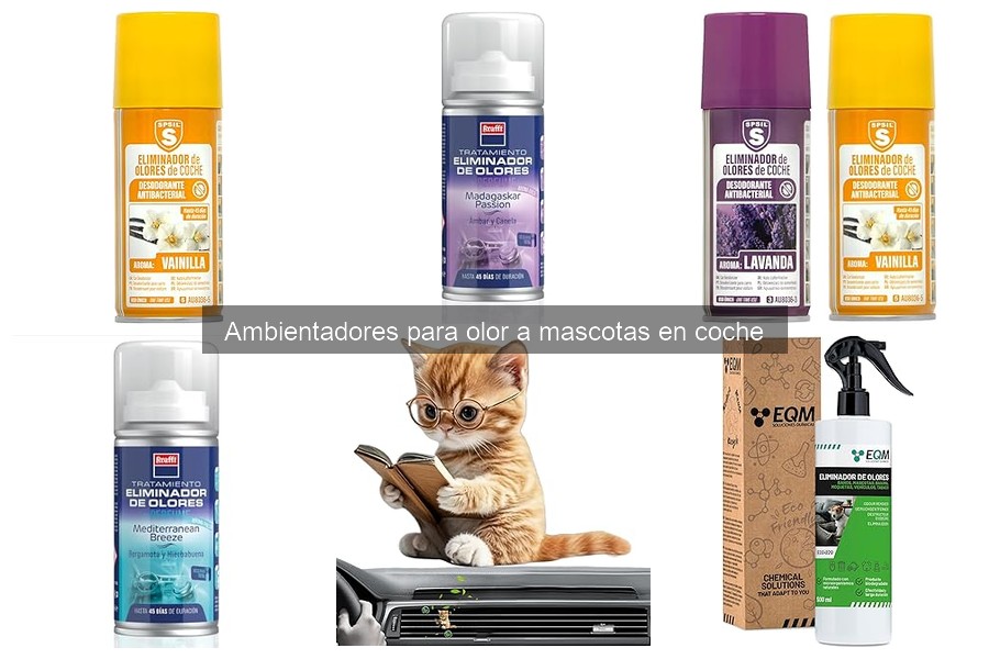 Beneficios de Ambientadores para Mascotas en el Coche