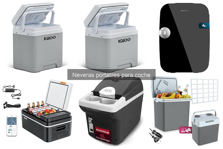 Cómo elegir la nevera portátil perfecta para tu viaje