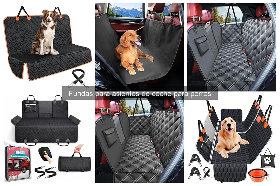 Cómo limpiar y mantener fundas para asientos de coche para perros