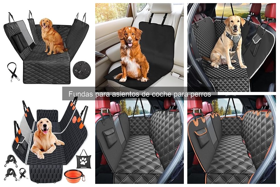 Comparativa de fundas para asientos de coche para perros: impermeables vs. lavables