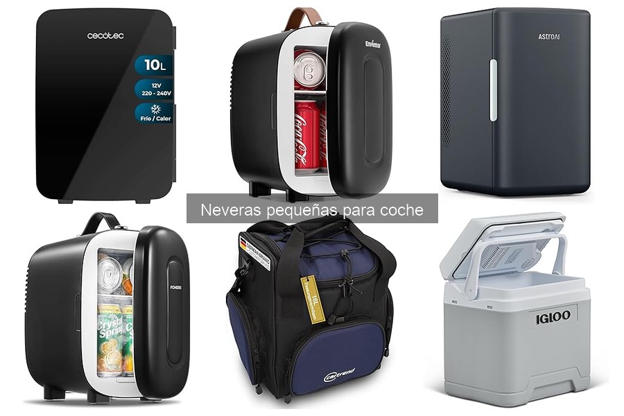 Comparativa: Neveras de compresor vs. termoeléctricas para coche