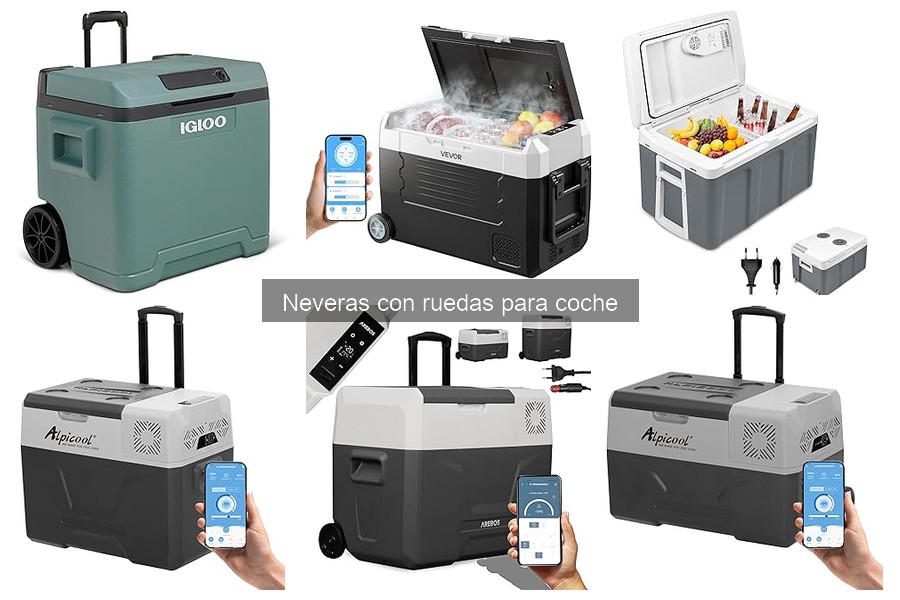 ¿Cuánto cuesta una nevera con ruedas para coche? Precios y recomendaciones