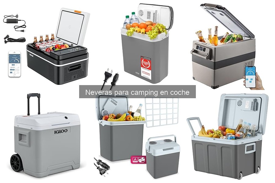 Dónde comprar la mejor nevera para camping en coche