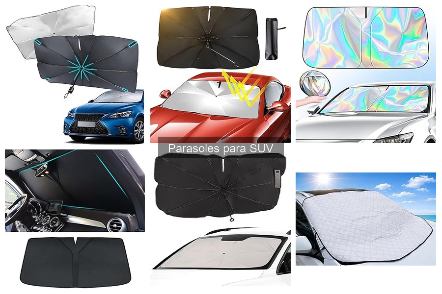 Efecto de los Parasoles en la Temperatura Interior del SUV