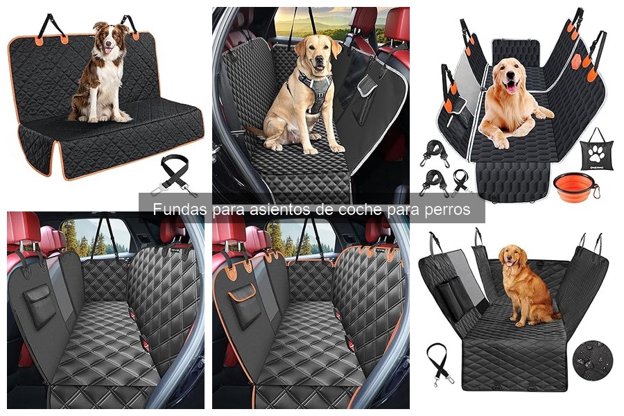 Errores comunes con fundas para asientos de coche para perros