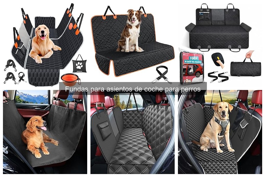 Fundas para asientos de coche: razas grandes vs. pequeñas