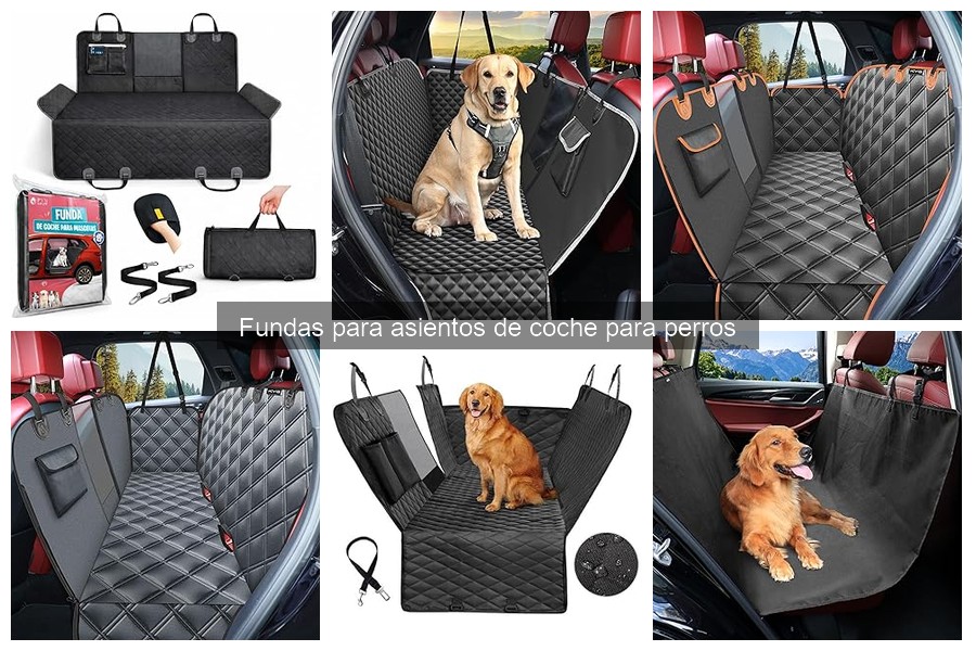 Guía de compra de fundas para asientos de coche para perros