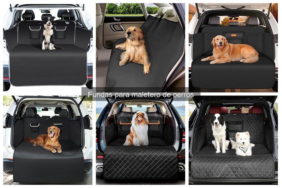 Guía de instalación de fundas para maletero de perros