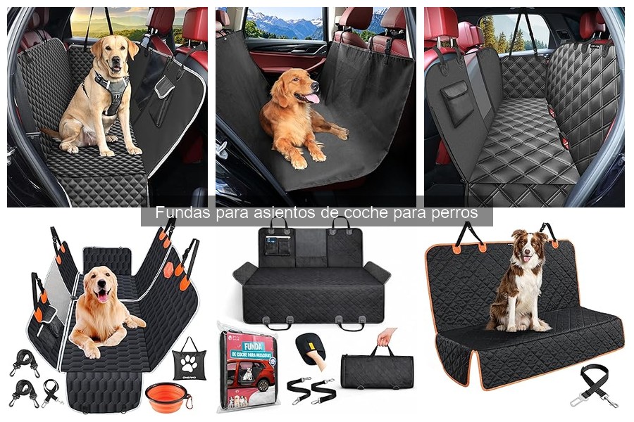 Mejores fundas para asientos de coche para perros en 2023