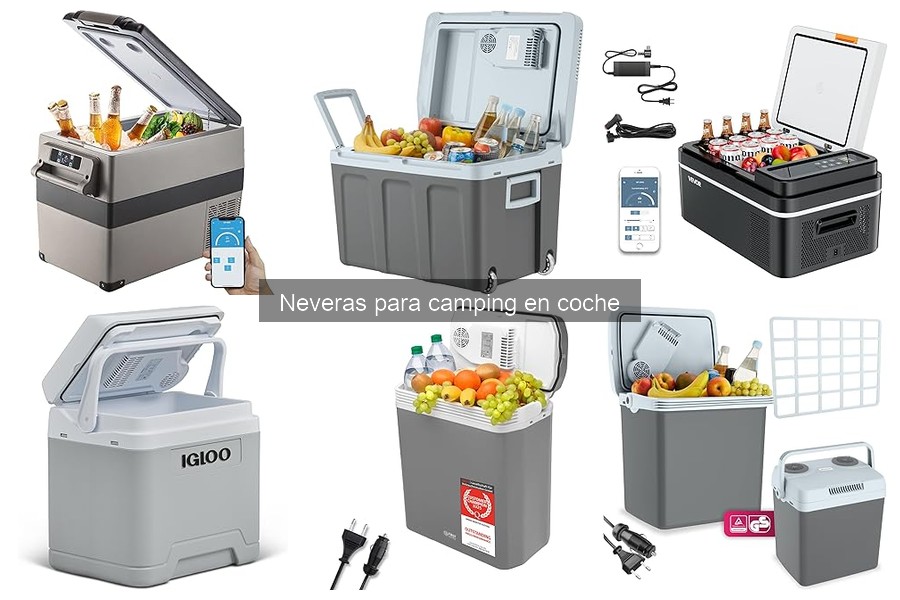 Mejores neveras para camping en coche según usuarios