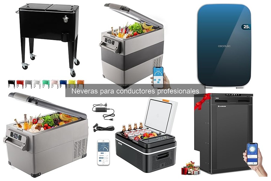 Neveras para Conductores Profesionales: Características y Funciones