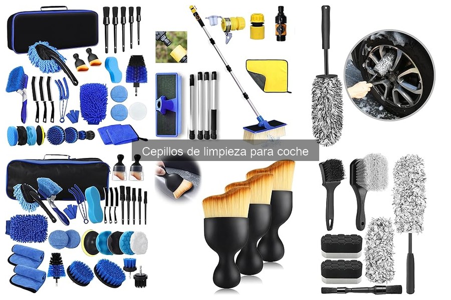 Opiniones de expertos sobre cepillos de limpieza para coche