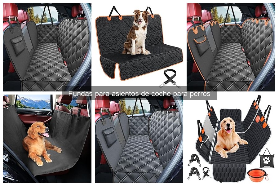 Opiniones sobre las mejores fundas para asientos de coche para perros