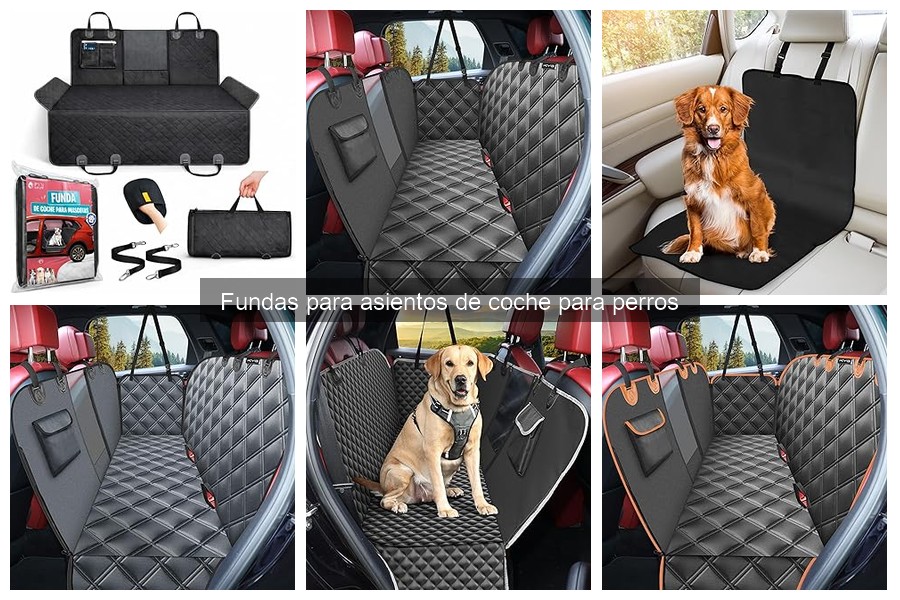 Precios de fundas para asientos de coche para perros y dónde comprarlas
