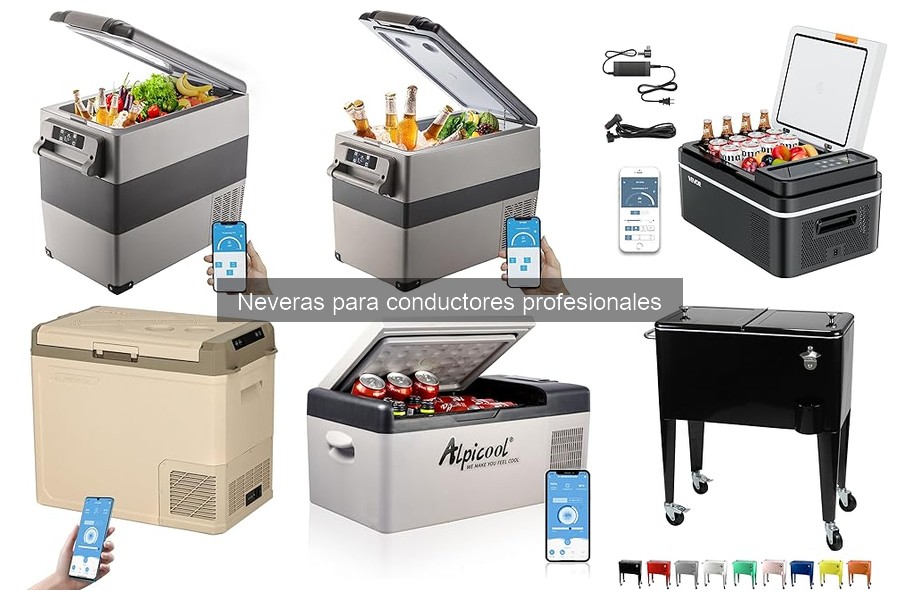 Problemas comunes con neveras para conductores profesionales