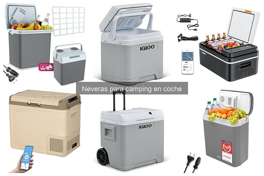 Problemas comunes de neveras para camping en coche y soluciones