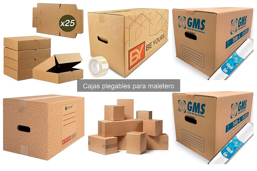 Tipos de cajas plegables para maletero: ¿Cuál elegir?
