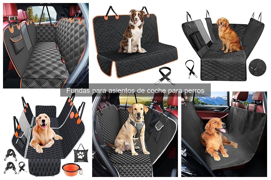 Tipos de fundas para asientos de coche para perros