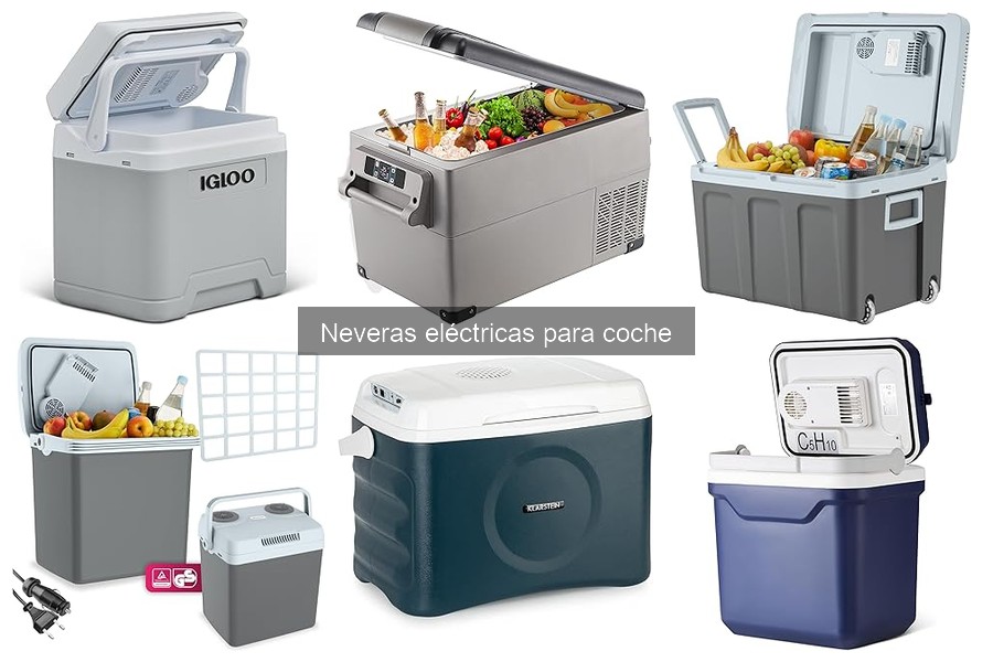 Todo sobre las neveras eléctricas para coche: ¿qué son?