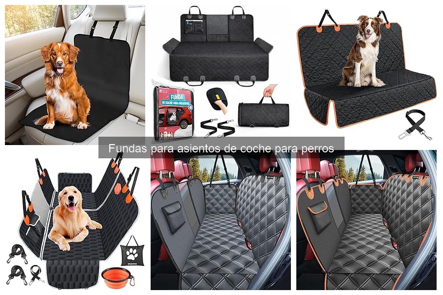 Ventajas de usar fundas para asientos de coche para perros