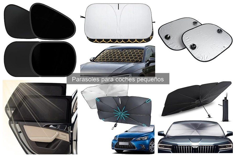 Ventajas y Desventajas de los Parasoles para Coches Pequeños